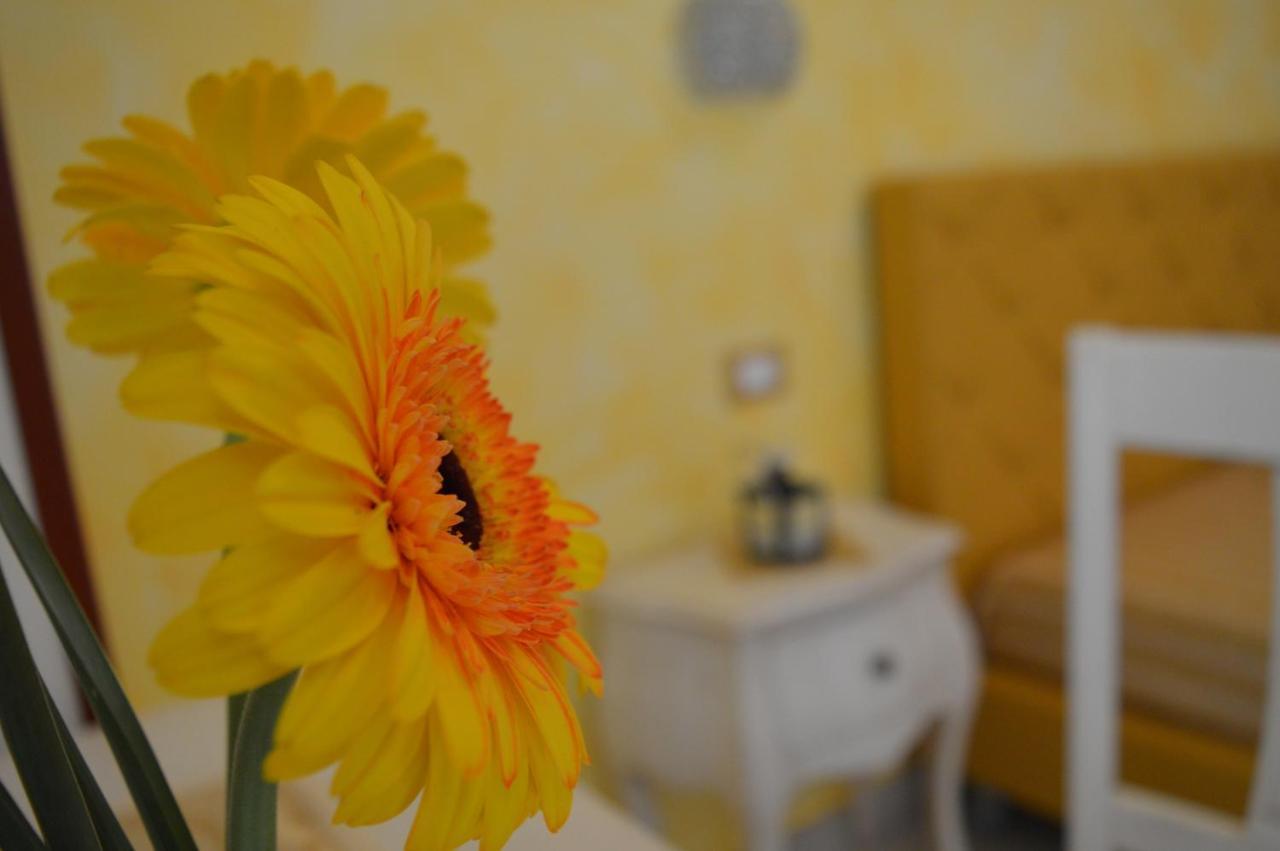 Tally B&B Сальве Экстерьер фото